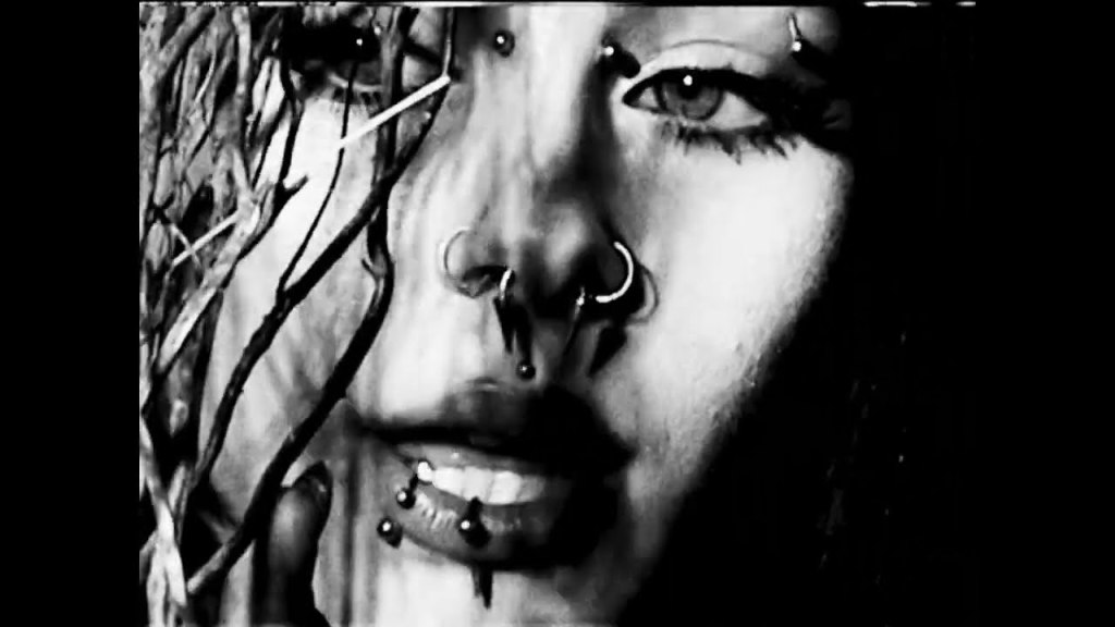 &lsquo;Plastic Unicorns&rsquo; : Une Pépite Musicale Éthérée de&nbsp;Bellzzz