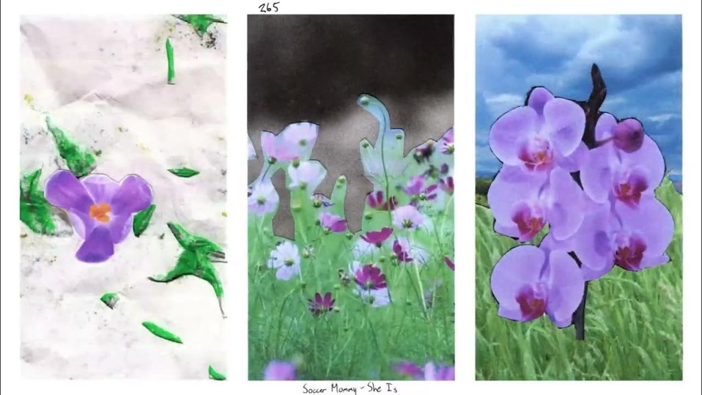 Soccer Mommy dévoile un nouveau&nbsp;single