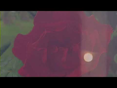 Découverte du nouveau single &lsquo;Deep Blue&rsquo; de Laura&nbsp;Groves