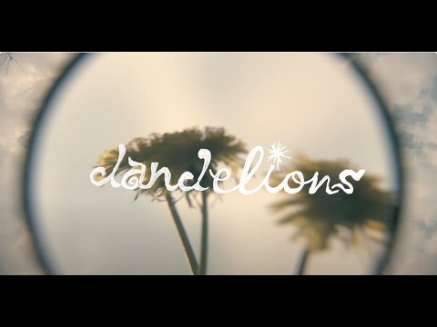 Whitney de retour avec un&nbsp;album