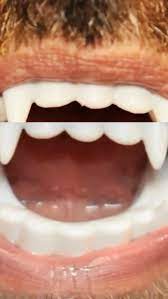 Shudder To Think est de retour&nbsp;!