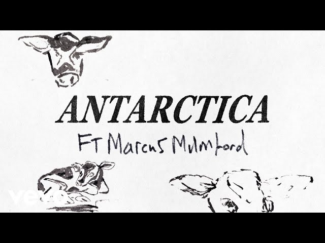 Antarctica : Le nouveau single captivant de Divorce avec Marcus&nbsp;Mumford