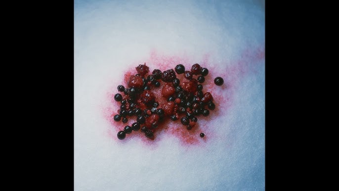 Night Swimming dévoile une nouvelle&nbsp;chanson