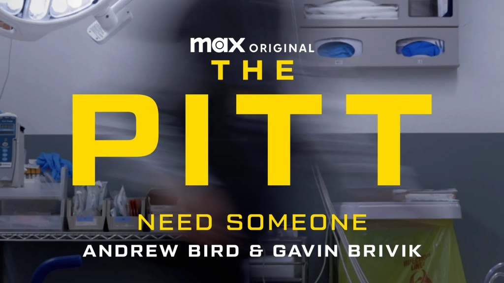 Andrew Bird dévoile &lsquo;Need Someone&rsquo; pour la série HBO,The&nbsp;Pitt