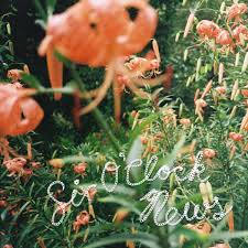 Découvrez la Version de Six O&rsquo;Clock News avec Brennan Wedl et&nbsp;Waxahatchee