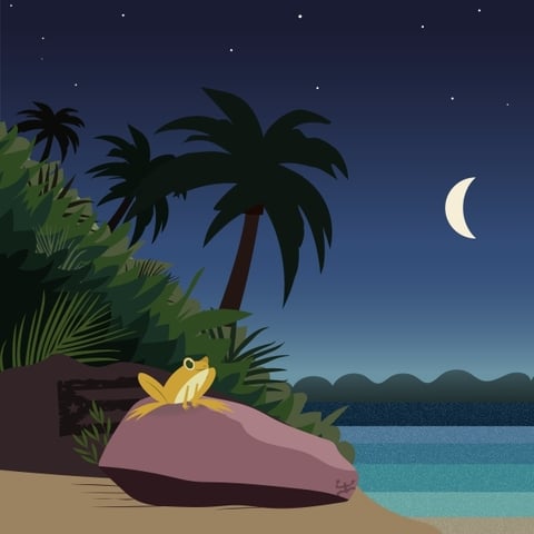 AÏTEKA Lève le Voile sur le Clip de&nbsp;COQUÍ