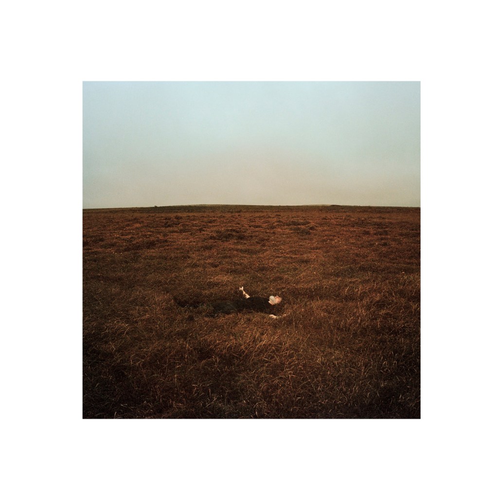 #Review : La très belle balade à vivre en compagnie de Fink et son album The City Is Coming to Erase It&nbsp;All