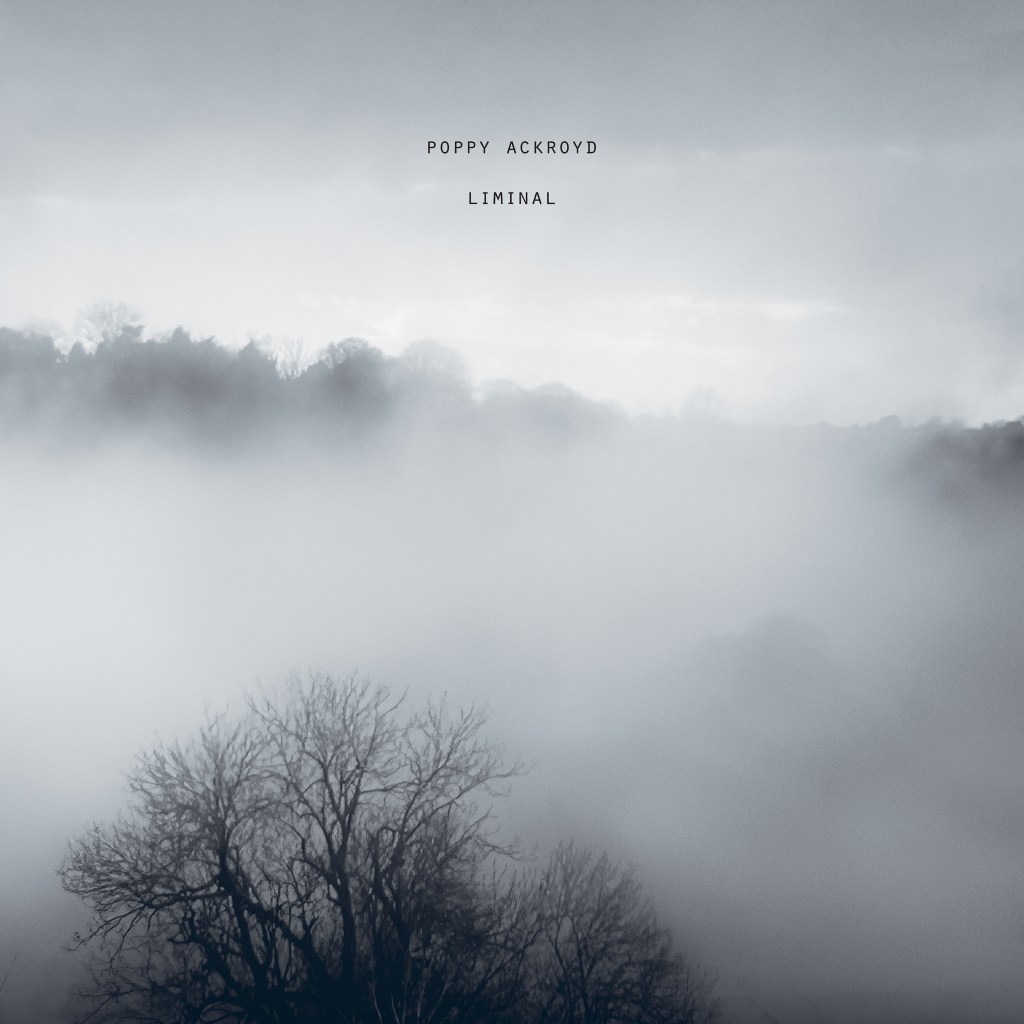 #Review : l&rsquo;incontournable Liminal de Poppy&nbsp;Ackroyd