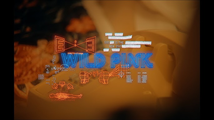 Wild Pink dévoile un nouveau single