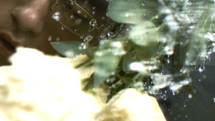 Silica Gel annonce un nouvel&nbsp;album