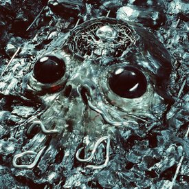 King Gizzard & The Lizard Wizard dévoile un nouveau&nbsp;single