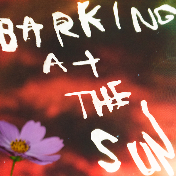No Joy dévoile « Barking at the Sun&nbsp;»
