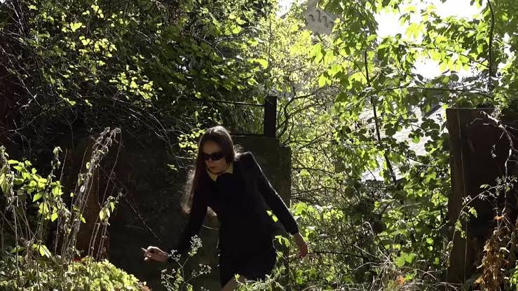 FINE annonce Jazz Dreams et dévoile « Everything in the Shade&nbsp;»