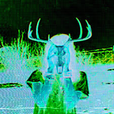 Heavy Wild annonce son deuxième EP Paradise Forever et dévoile « Freeze2Death »