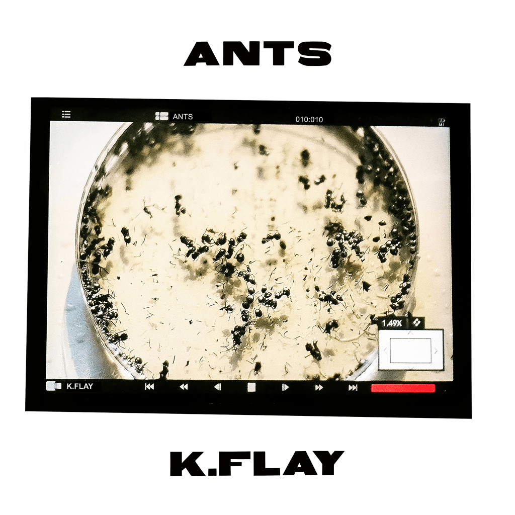 K.Flay dévoile « Ants », son nouveau&nbsp;single