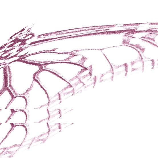 smush annonce i’ll always wish,, et dévoile « milkweed butterfly&nbsp;»