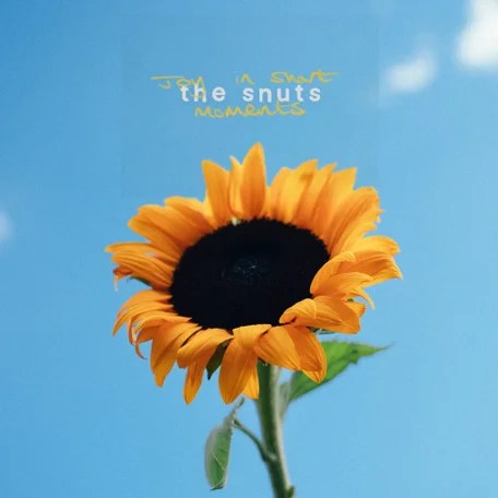 The Snuts dévoilent « PTS », nouvel extrait de Joy In Short&nbsp;Moments