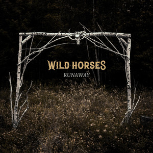 Wild Horses annonce The In Between et dévoile « Take It As It Comes&nbsp;»