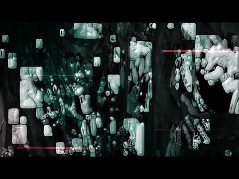 Scaler annoncent Reflex et dévoilent « Spiral »