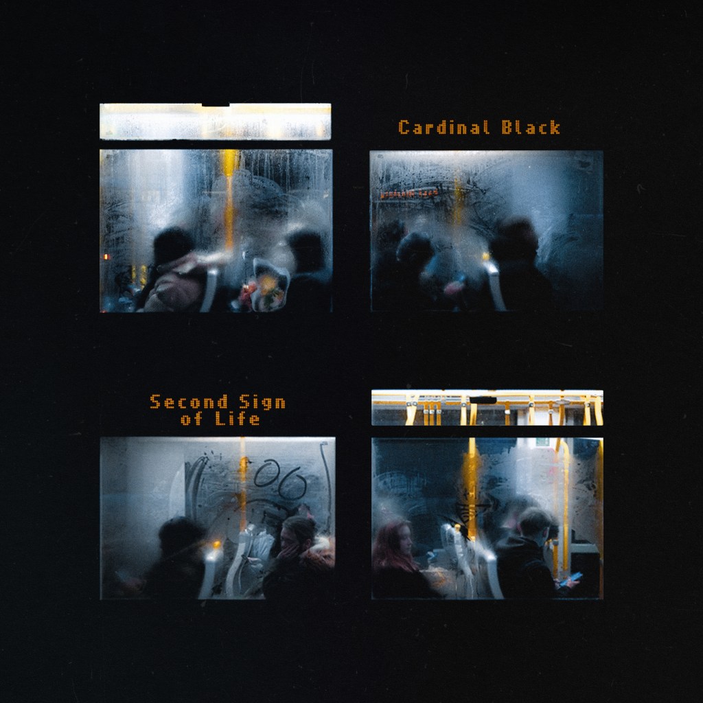 Cardinal Black annonce Second Sign of Life et dévoile « Saving Grace&nbsp;»
