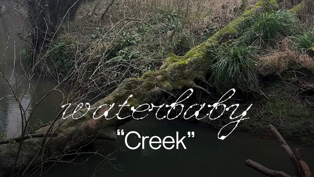 waterbaby dévoile « Creek », son nouveau single chez Sub Pop